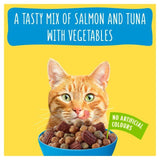 Go-Cat Crunchy & Tender Salmon and Tuna Dry Cat Food 900g