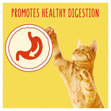 Go-Cat Herring and Tuna Dry Cat Food 750g