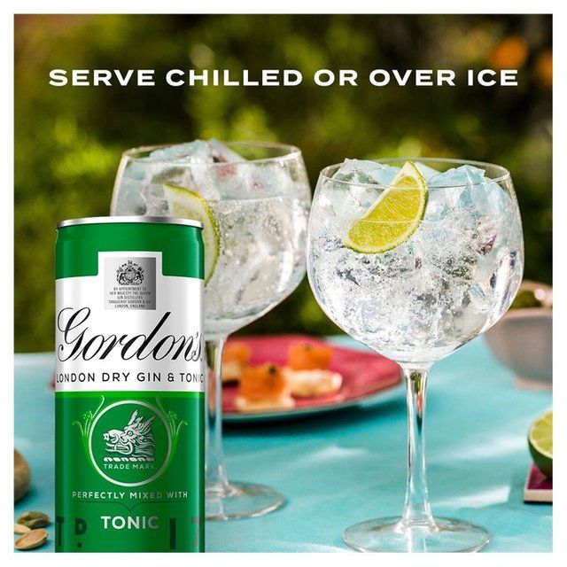 Gordon's Gin & Tonic 10 x 250ml