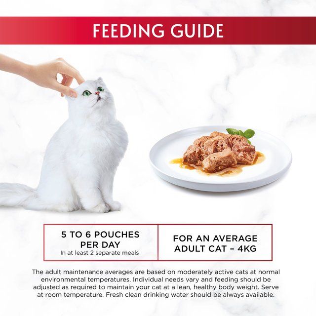 Gourmet Mon Petit Poultry Variety Turkey Chicken Duck Wet Cat Food 6 x 50g