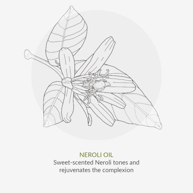 Green People Organic Conditioner Moisturising Vegan 200ml