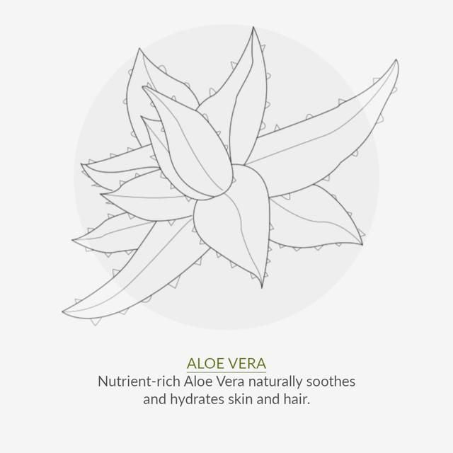 Green People Organic Daily Aloe Conditioner Vegan 200ml