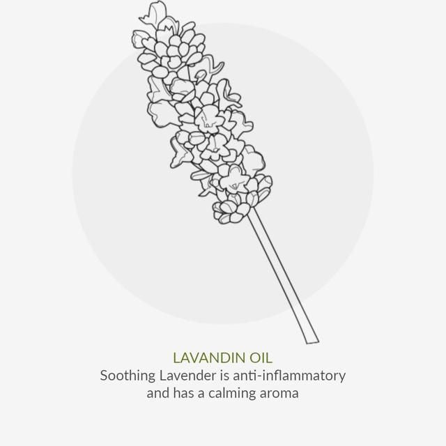 Green People Organic Daily Aloe Conditioner Vegan 200ml