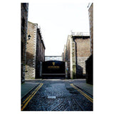 Guinness Original Stout Beer 500ml