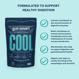 gut-smart COOL 90s - Natural Heartburn & Acid Reflux Relief