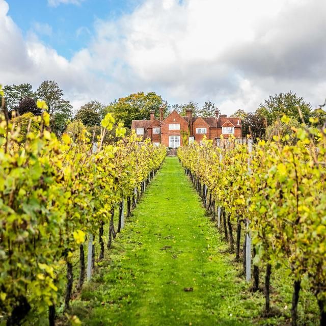 Hambledon Classic Cuvee Brut NV 75cl