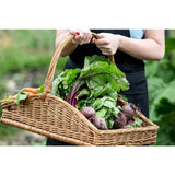 James White Beet It Organic Beetroot Juice with Ginger 750ml