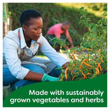 Knorr 20 Vegetable Stock Cubes 20 x 10g