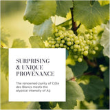 Lallier Champagne Blanc De Blancs 75cl