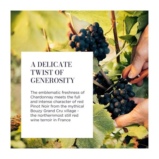 Lallier Champagne Grand Rose 75cl