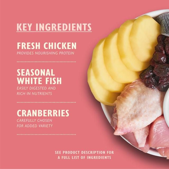 Lily's Kitchen Cat Chicken & White Fish Dry Kitten Food 800g