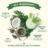 Lily's Kitchen Woofbrush Natural Daily Dental Chew Medium Dog Multipack 196g