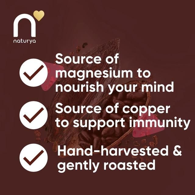 Naturya Organic Cacao Nibs 300g