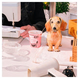 Oatly Oatgurt Strawberry 400g