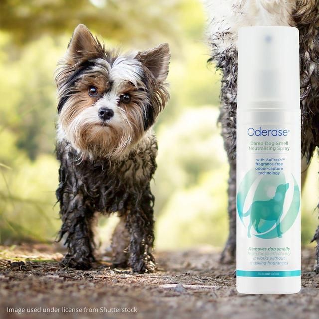 Oderase Damp Dog Smell Neutralising Spray 200ml