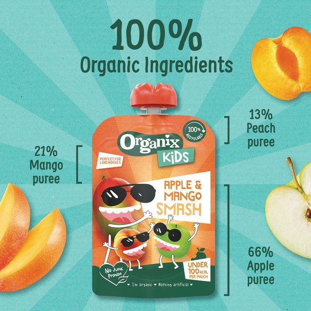 Organix KIDS Mango & Apple Smash Pouch 100g