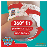Pampers Paw Patrol Baby Dry Nappy Pants Size 5, 160 Pack