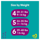 Pampers Premium Protection Nappies Size 5 (11-16kg) Jumbo+ Pack 54 per pack