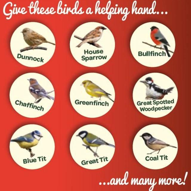 Peckish Peanuts For Wild Birds 12.75kg