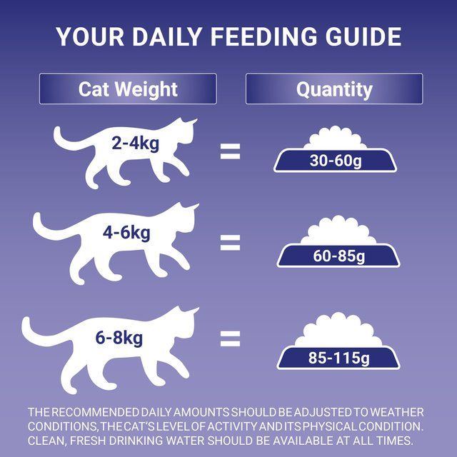 Purina ONE Urinary Care Dry Cat Food Chicken 750g