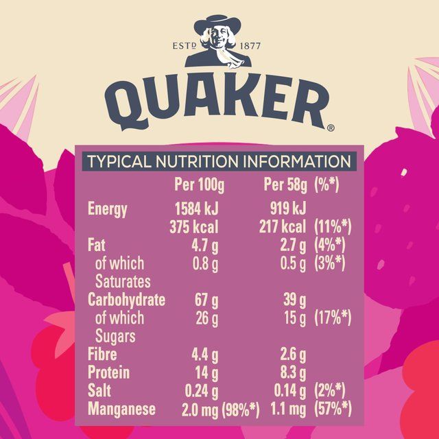 Quaker Oat So Simple Summer Berries Porridge Cereal Pot 58g