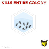 Raid Ant Bait Station