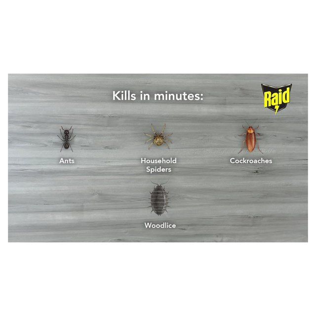 Raid Ant & Cockroach Killer 300ml