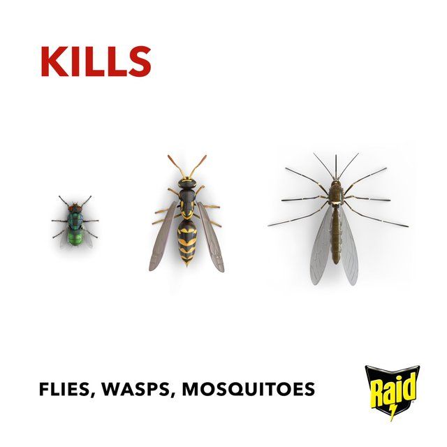 Raid Fly Wasp & Mosquito Killer with Eucalyptus Aroma Oil 300ml