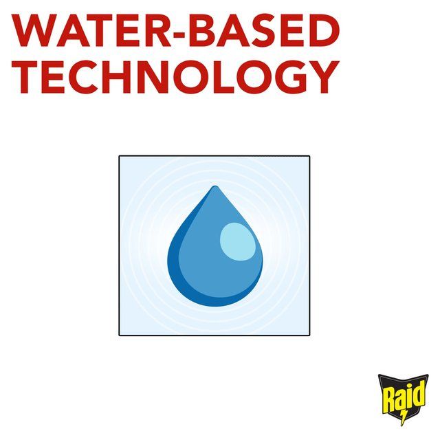 Raid Fly Wasp & Mosquito Killer with Eucalyptus Aroma Oil 300ml