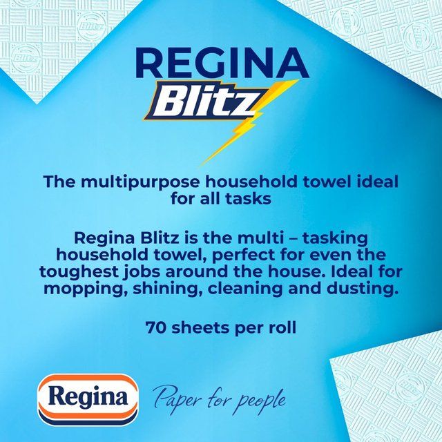 Regina Blitz Household Towel 2 per pack
