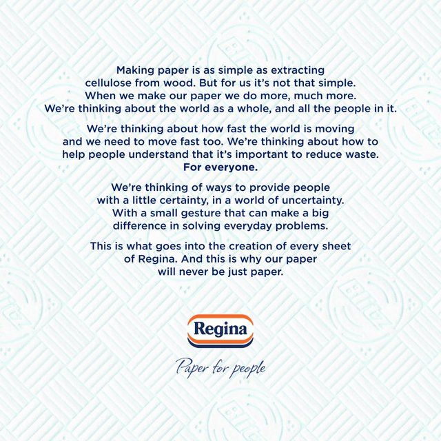 Regina Blitz Household Towel 2 per pack