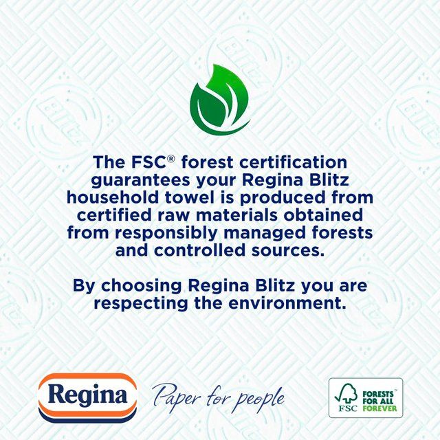 Regina Blitz Household Towel