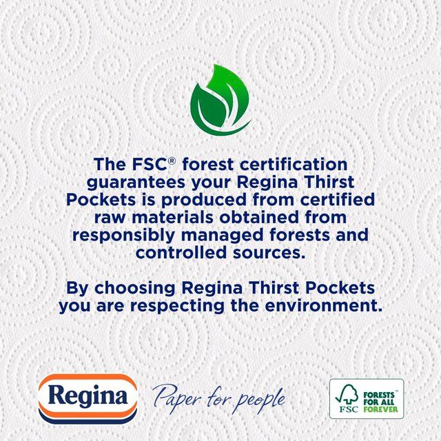 Regina Thirst Pockets Kitchen Roll 2 per pack