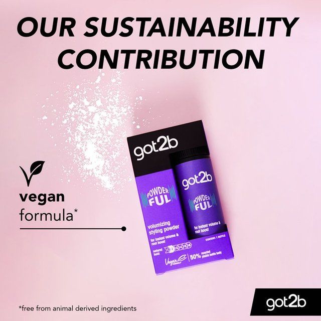 Schwarzkopf got2b Powder'ful Volumizing Powder 10g