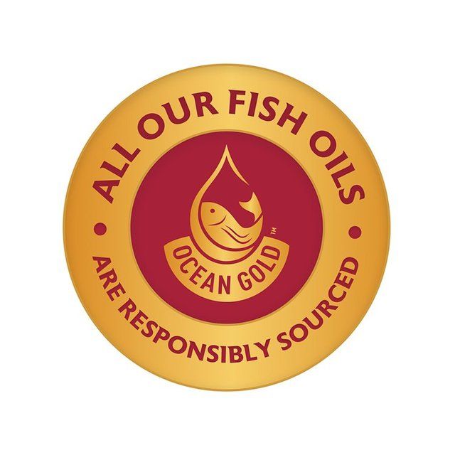 Seven Seas JointCare Active Glucosamine Omega-3 & Chondroitin 60 Caps 60 per pack