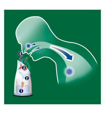 Vicks Personal Steam Inhaler with Two Scent Pads, V1300 GOODS Boots