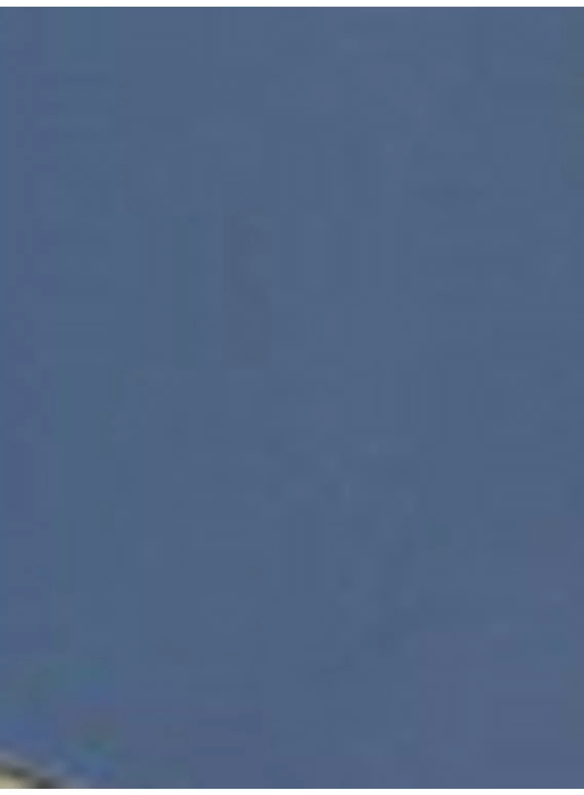 Microplane Stainless Steel Zester/Grater - McGrocer