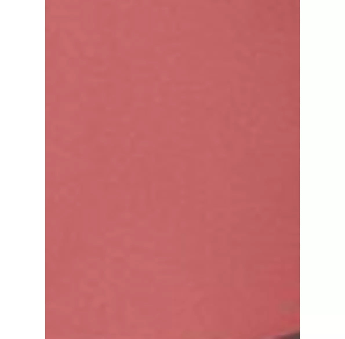 Microplane Stainless Steel Zester/Grater - McGrocer