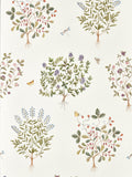 Sanderson Thyme Walk Wallpaper