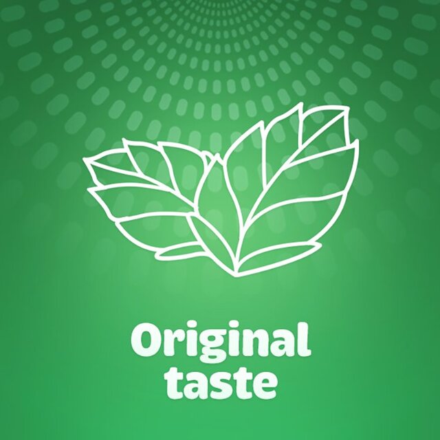 Tic Tac Fresh Mint Mini Sweets Bottle Pack   98g - McGrocer