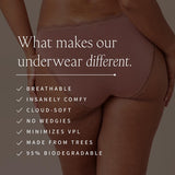 Stripe  Stare The Original Knicker Classic Leopard L