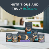 Encore Fish Selection in Jelly