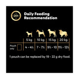 Cesar Deliciously Fresh Dog Food Pouches Mixed Selection in Jelly