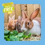 Excel Junior  Dwarf Rabbit Nuggets With Mint