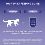 Purina One Mini Fillets Mixed Selection in Gravy Wet Cat Food