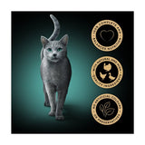 SHEBA Fresh  Fine Cat Pouches with Chicken  Turkey  Duck in Gravy