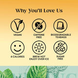 Twinings Organic Peppermint Tea   20 per pack GOODS M&S   