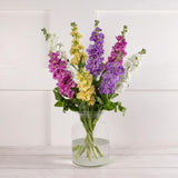 Abondance des stocks chez Sainsbury's