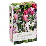 Ampoules de la collection Pastel Shades de Sainsbury's x20