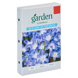 Sainsbury's Garden Glory of The Snow x25